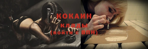 стафф Алзамай