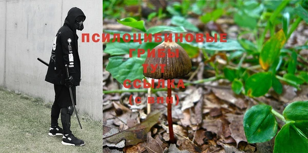 стафф Алзамай