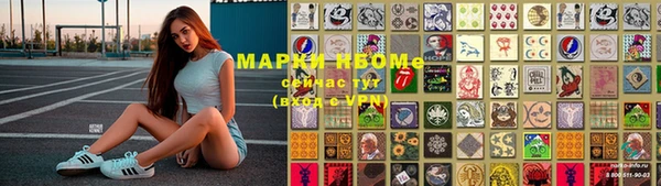 стафф Алзамай