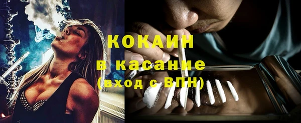 гидра Алексин