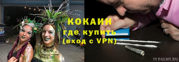 гидра Алексин