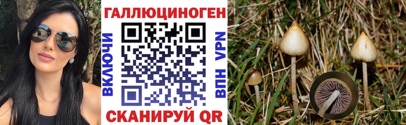 Галлюциногенные грибы Cubensis  Нижние Серги 